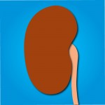 KidneyStoners logo